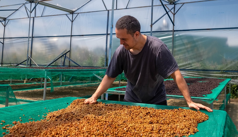 susenie kavovych zrn s duzinou 2